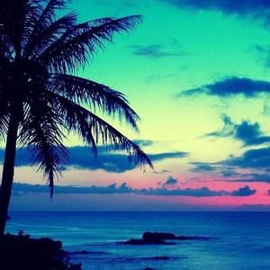 Meet your Posher, Billie